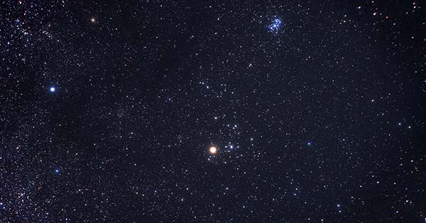 Photograph of the constellation Taurus made by the avid astrophotographer Akira Fujii. In the photo, tiny white dots, stars, fill the image, with a brighter, reddish dot towards the bottom right, which is Taurus.
