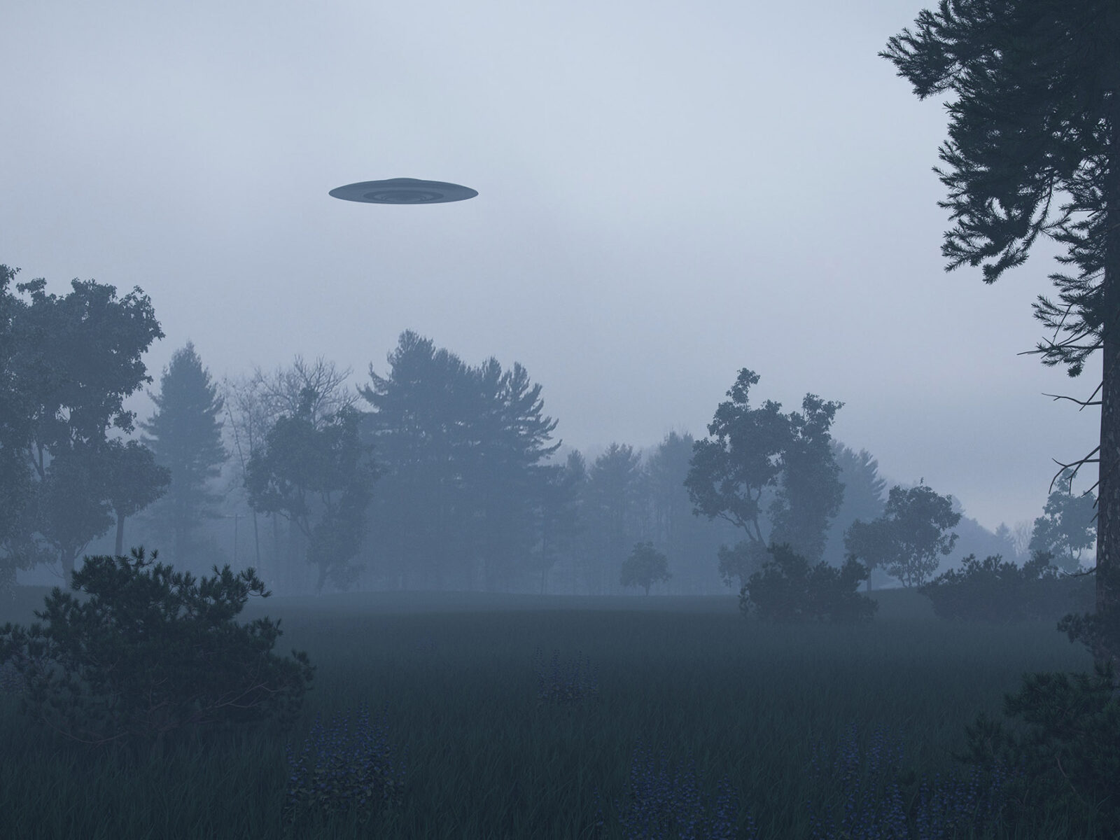 alien sightings real