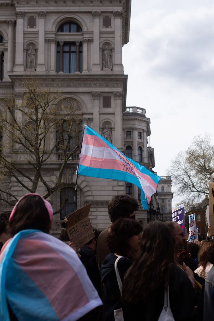 Photo: An individual in a crowd holding up the transgender flag. In the foreground, an individual wrapped in the transgender flag.
