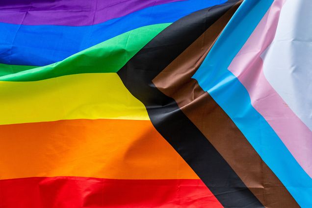 Photo: The LGBTQIA+ flag bellowing in the wind. The colors, from the right are white, pink, blue, brown, and black. They form a triangle pointing in. From the top, purple, blue, green, yellow, orange, and red.