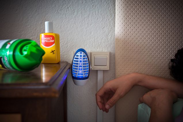 Photo: A stock image focused on a bug trapper. On the left, a wooden drawer with bug spray on it. On the right, a bed with a person's arm hanging off the end.