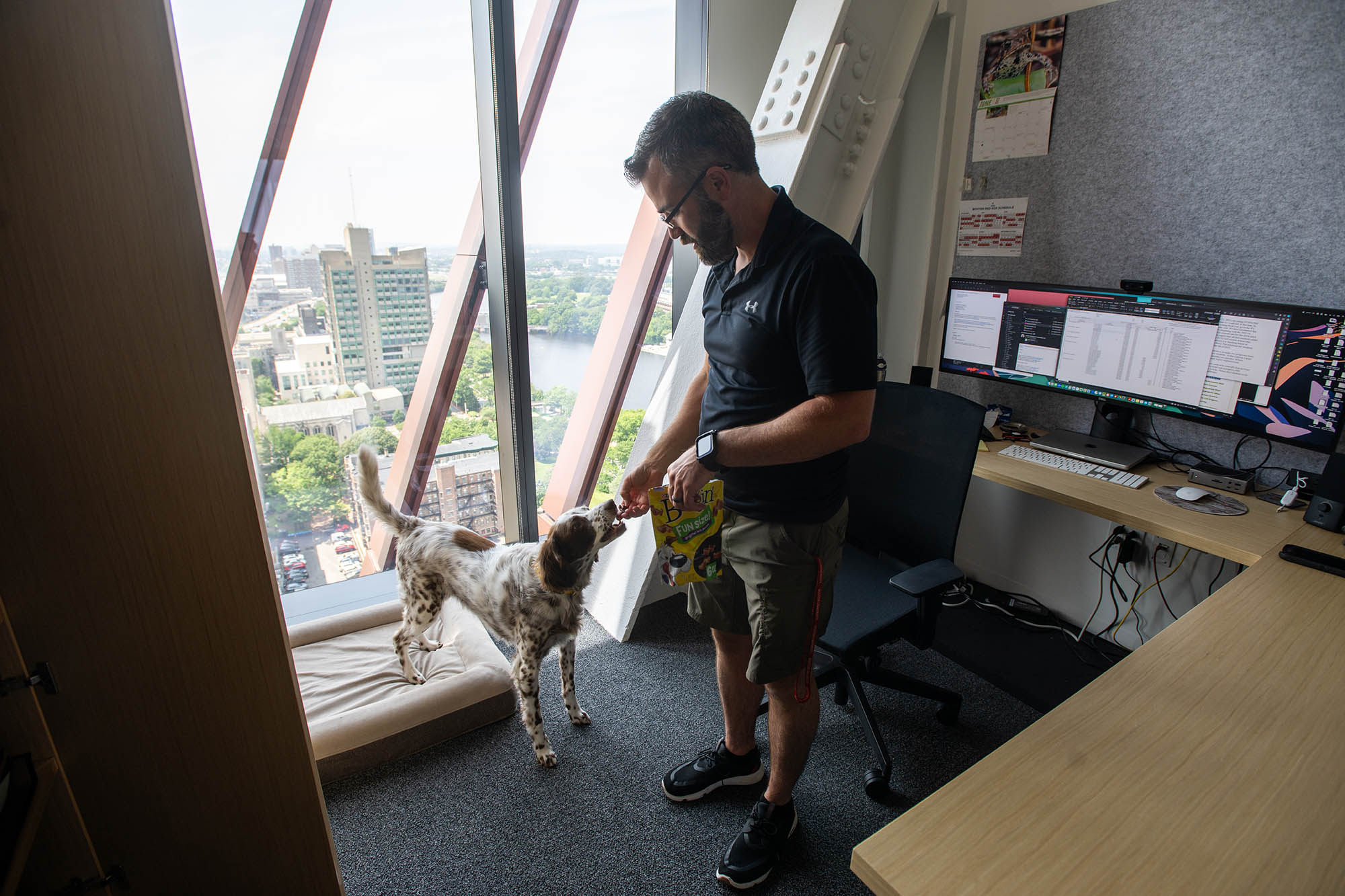 Photo: Chris DeVits, a white man wearing glasses, a black collared shirt, and khaki shorts, stands in his office as he gives his black and white Irish setter dog a treat.
