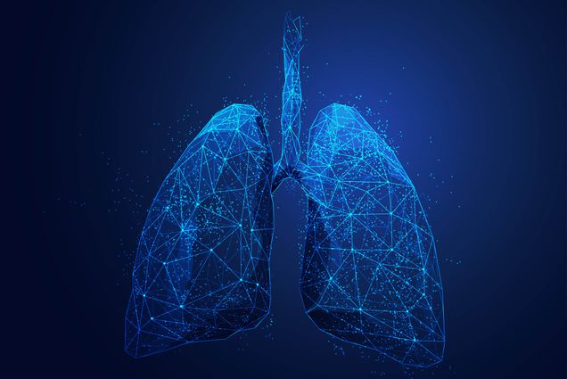 Image: Graphic wireframe design of human lungs. Futuristic image uses a blue theme.