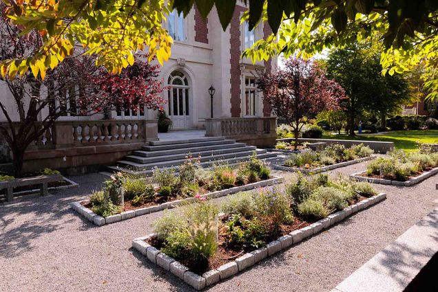 Photo: Various plants and trees are shown blooming in a scenic setting on BU's campus.