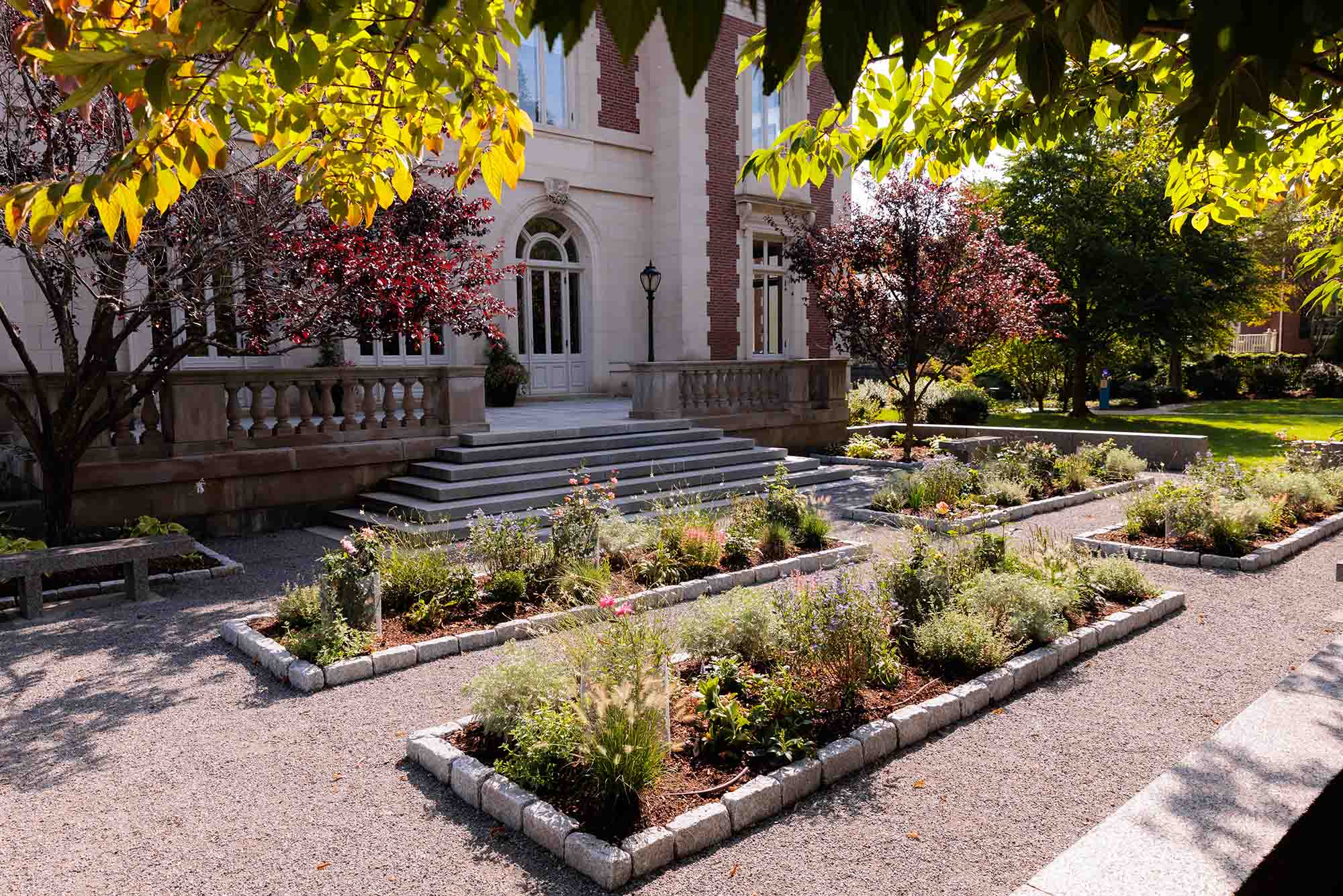 Photo: Various plants and trees are shown blooming in a scenic setting on BU's campus.