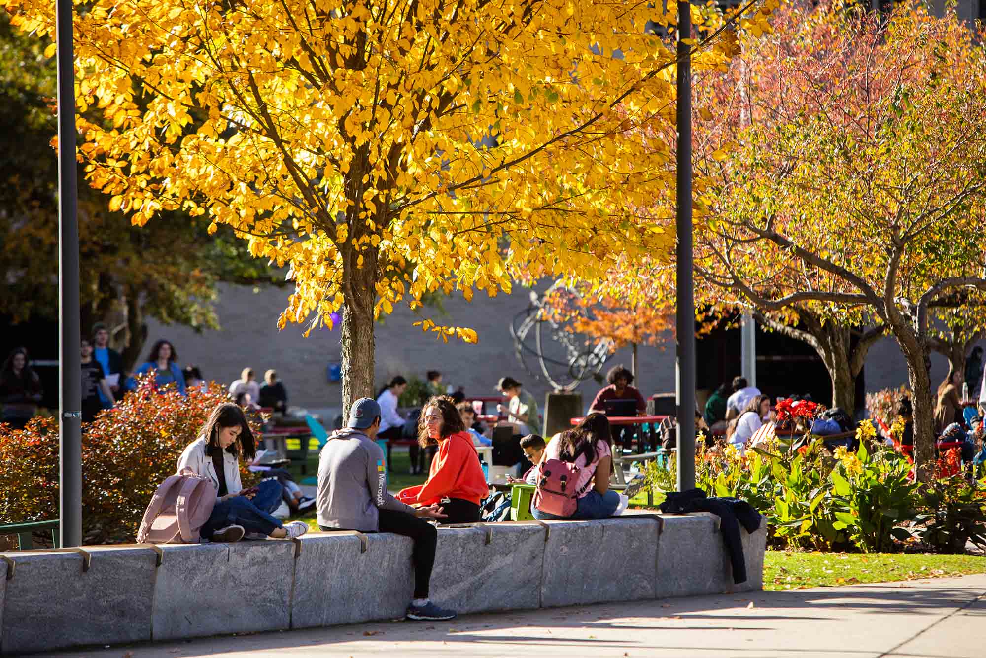 Photo: Large trees with orange, yellow, and red leaves frame students on BU's campus as they sit and chat on and around a campus lawn on a sunny, warm autumn day in Boston.