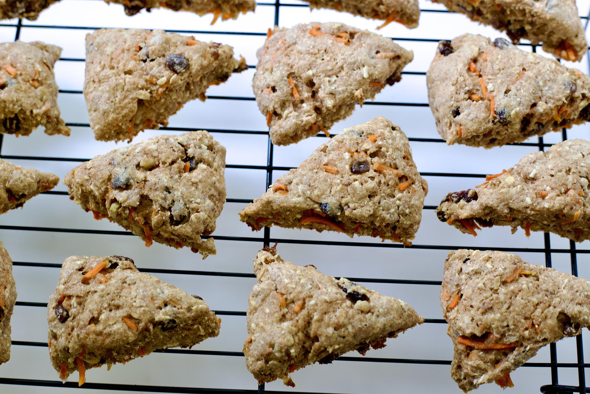 Photo: A large cooling rack filled with scones that appear to have nuts and dried fruit in them