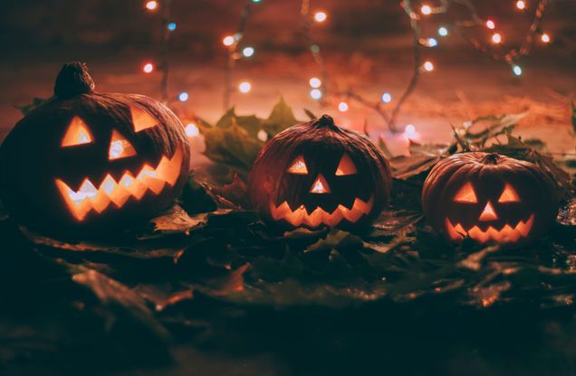 This is a stock photo of three jack-o-lanterns sitting on a dark rocky surface with a light orange background. It is dimly lit with fairy lights.