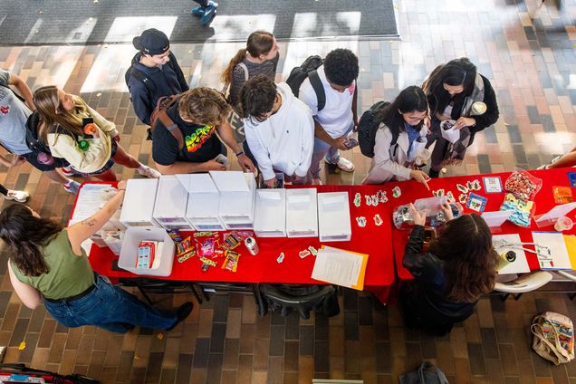 Going Green: Reusable Container Initiative Starts at GSU, BU Today