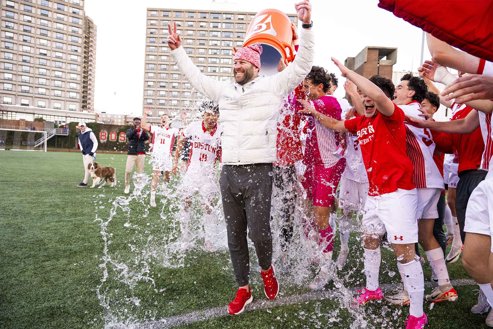 Photo: Coach of the BU Men's Soccer team receives a drenching of Gatorade to the back after winning the patriot league title