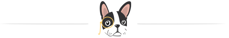 Image: Illustrated divider features a vector Boston Terrier dog head. The Terrier wears a yellow monocle over it's left eye. Light gray lines are placed on either side of the dog.