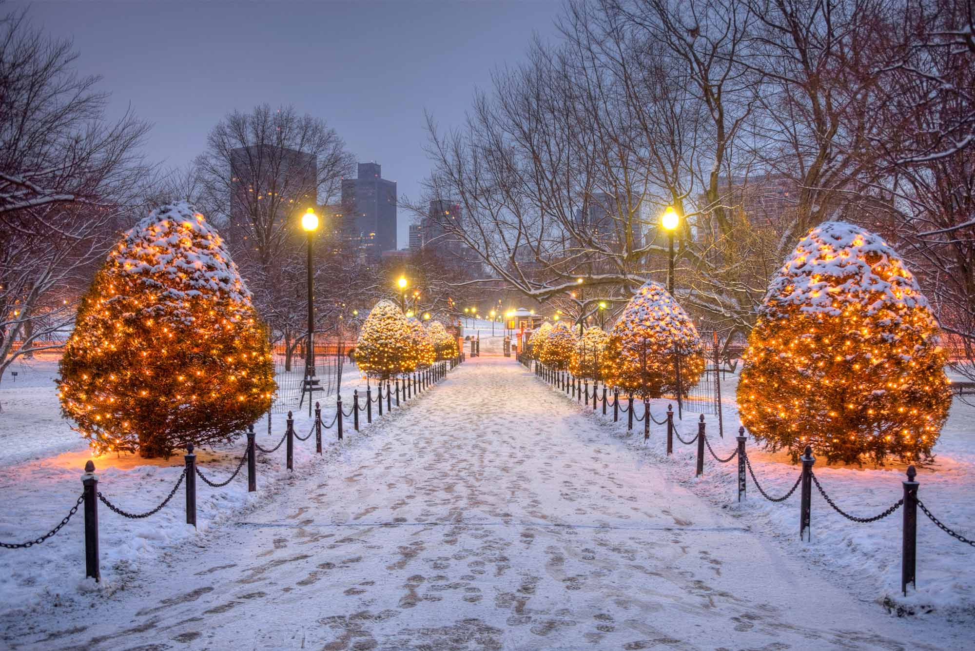 Photo: A snowy evening at Boston Common, where pine trees are covered in lights and a brick walkway is dusted with flurries