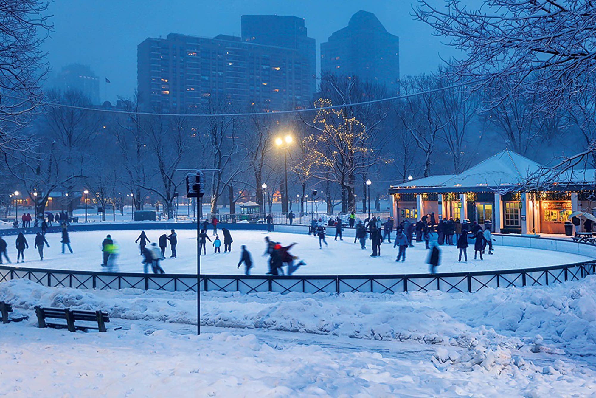 Photo: A shot at dusk of the skate rink in Frog Park. There is now on the ground, blurry shots of people skating, and twinkle lights in the trees.