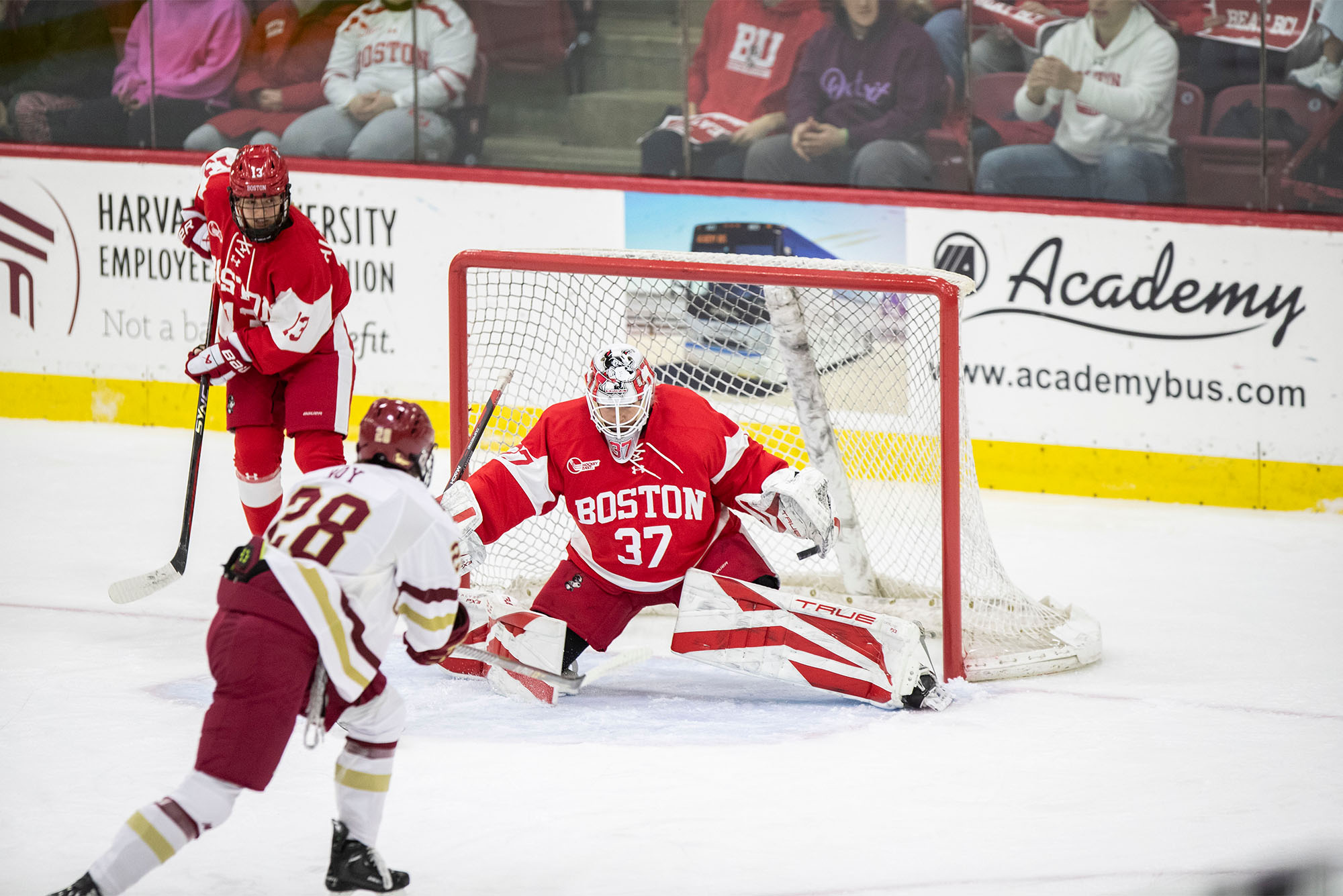 Photo: A hockey goaltender wearing red and white stops a shot from a player wearing brown and gold