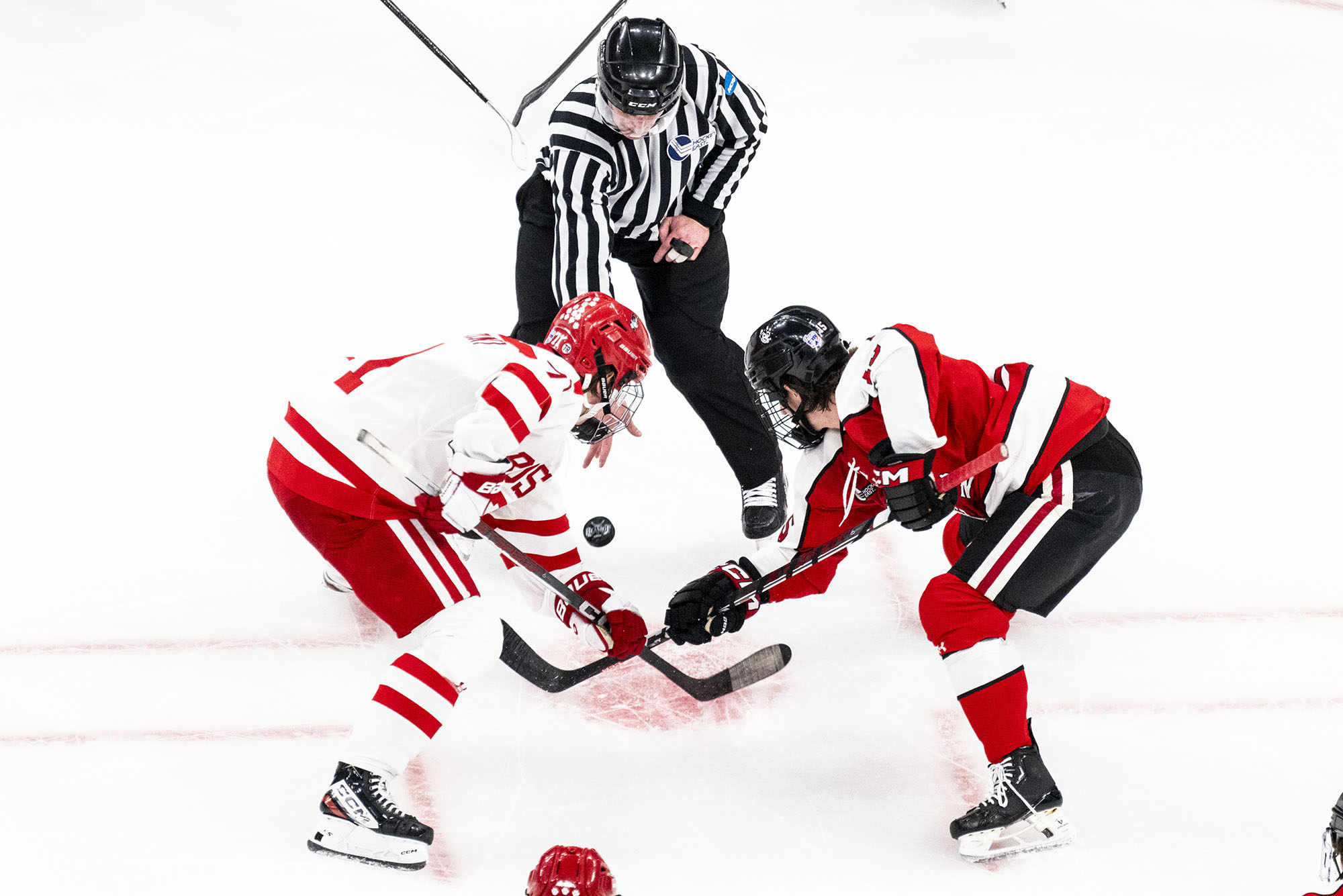 Photo: Two hockey players face off in college hockey game. Both are wearing red uniforms--on the left, BU red and white and one the right, red, black and white.