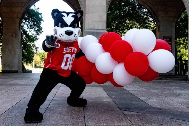 Photo: Rhett, Boston Universitys mascot, holding a bouquet of red and white ballons