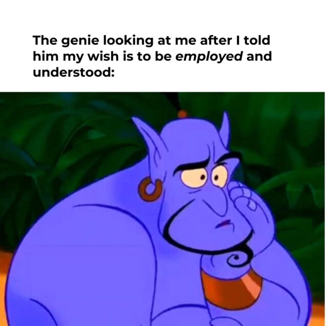 A meme of the cartoon genie from Aladdin staring blankly into space and above him it says "The genie looking at me after I told him that my wish is to be employed and understood".