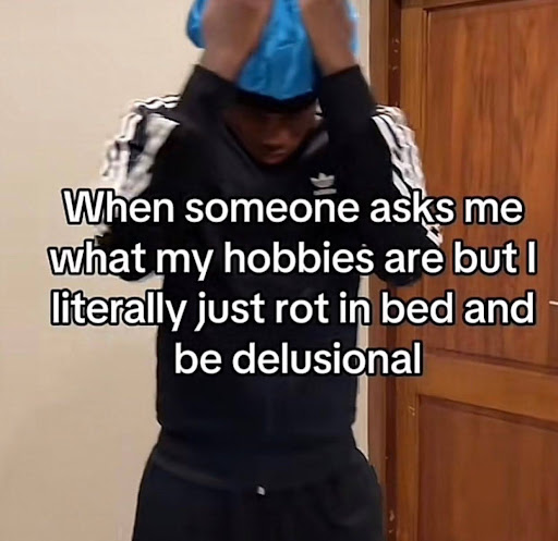 A person standing and holding their head in his hands. The caption reads "When someone asks me what my hobbies are but I literally just rot in bed and be delusional."