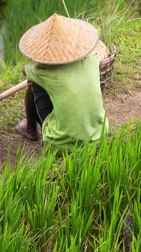 Photo: A tight shot of a man sitting in tall grass, taking a break from farming the area. He sits with a woven hat and two baskets held up by sticks.
