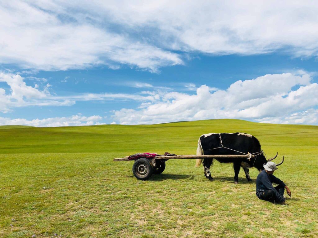 Photo: A wide shot of a landscape with beautiful blue skies and clouds, rolling hills, and a farmer and his cow grazing the field.