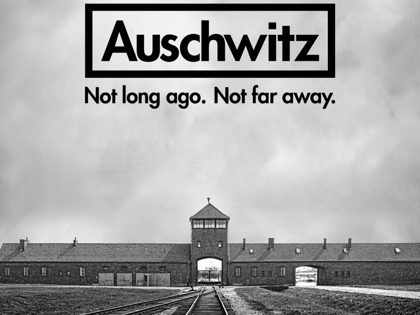 auschwitz 