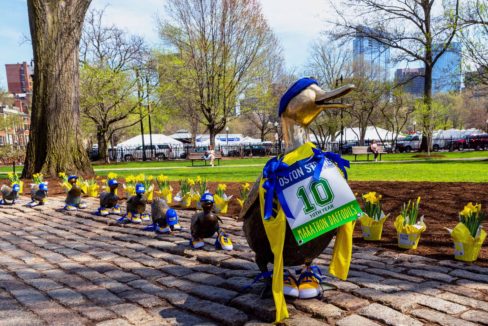 Photo: A picture of duck statues at the Boston Common wearing Boston Marathon gear