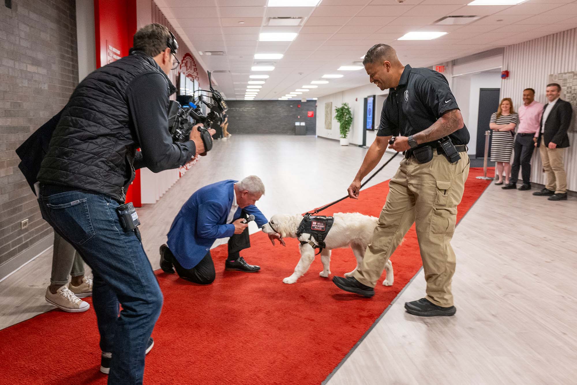 Photo: A picture of an interviewer and camera crew around a yellow labrador retriever on a red carpet