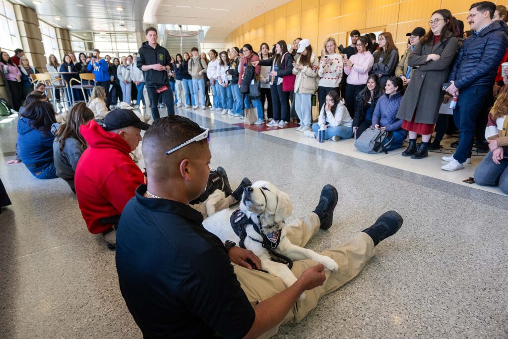 Photo: A picture of a puppy sitting in her handler's lap. There is a crowd watching and other handlers and their dogs to their left