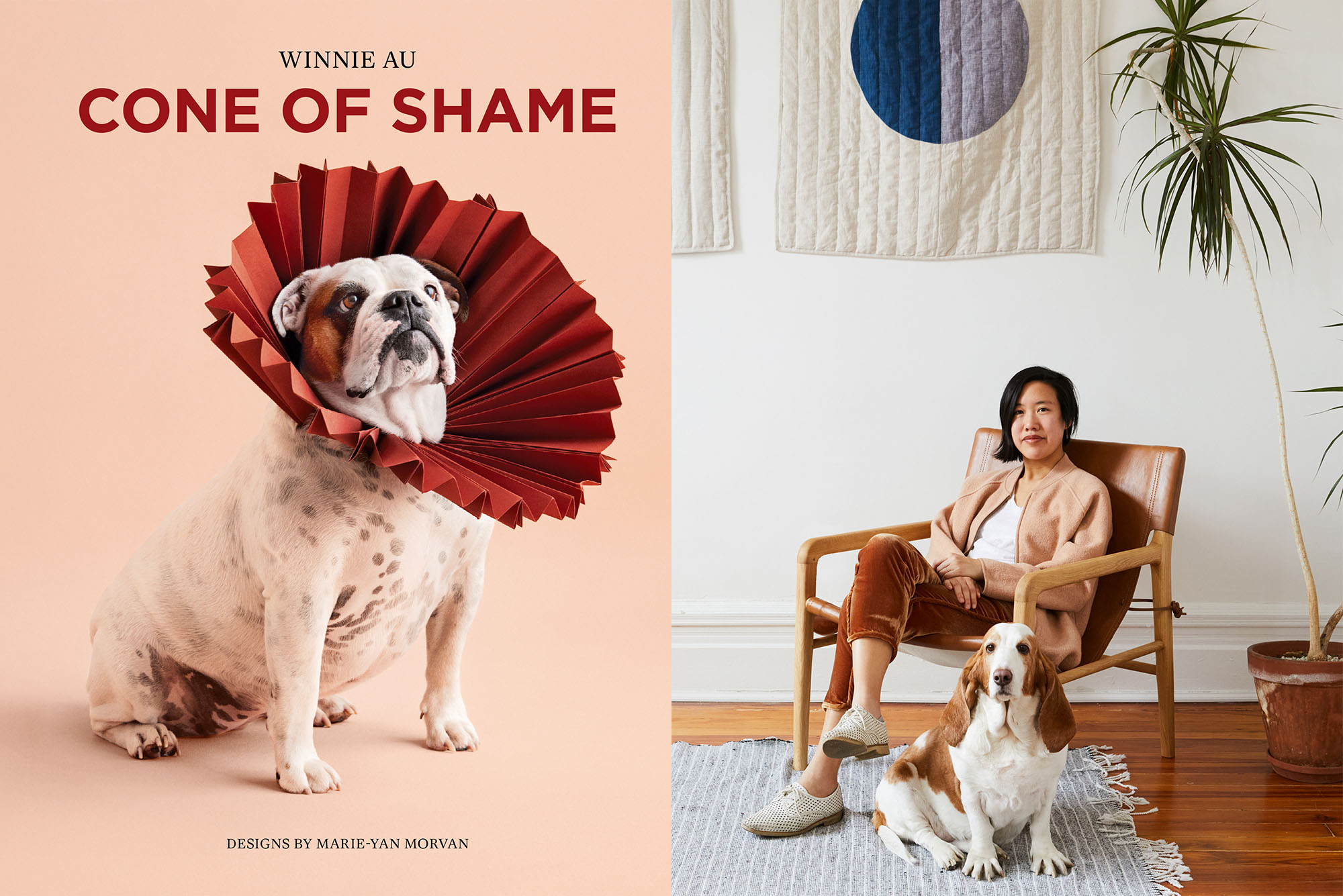 Pups Wearing Custom Designed Veterinary Collars Get Star Treatment in Alum s New Coffee Table Book Bostonia Boston University