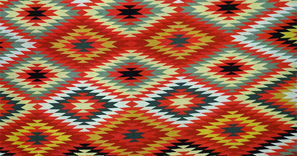 POV: We’re Missing Indigenous Knowledge in Higher Education | BU Today
