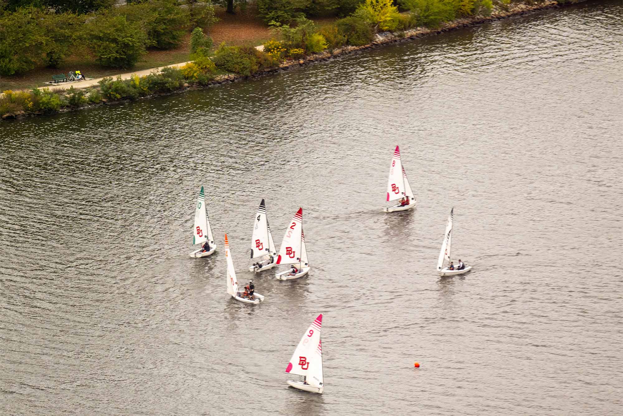 Photo: Sailboats on the Charles River in Boston on a sunny day