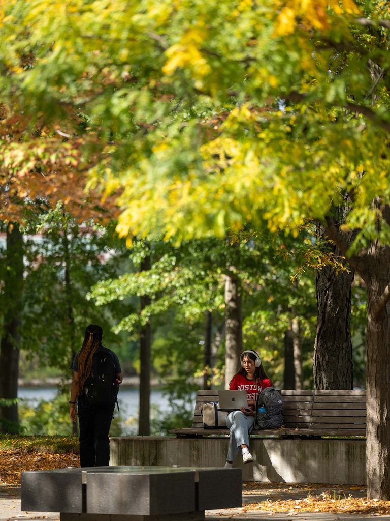 Photo: Large trees with varying autumnal hues, from vibrant green to orange