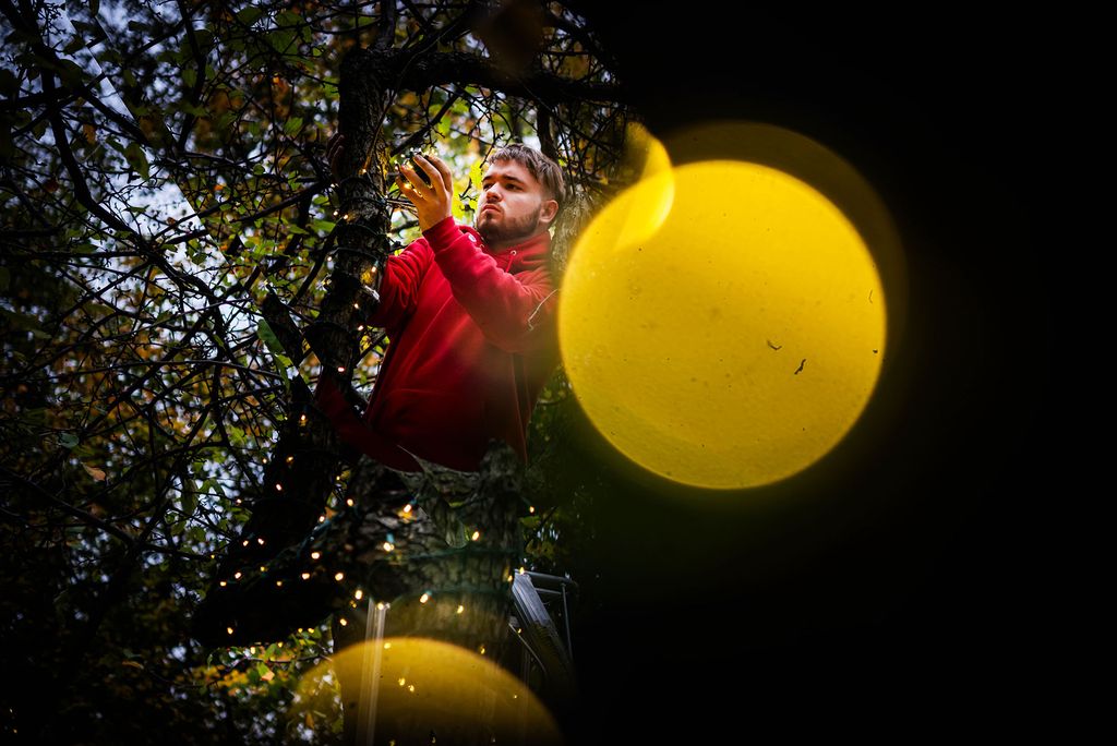 Photo: A man hanging lights on a tree