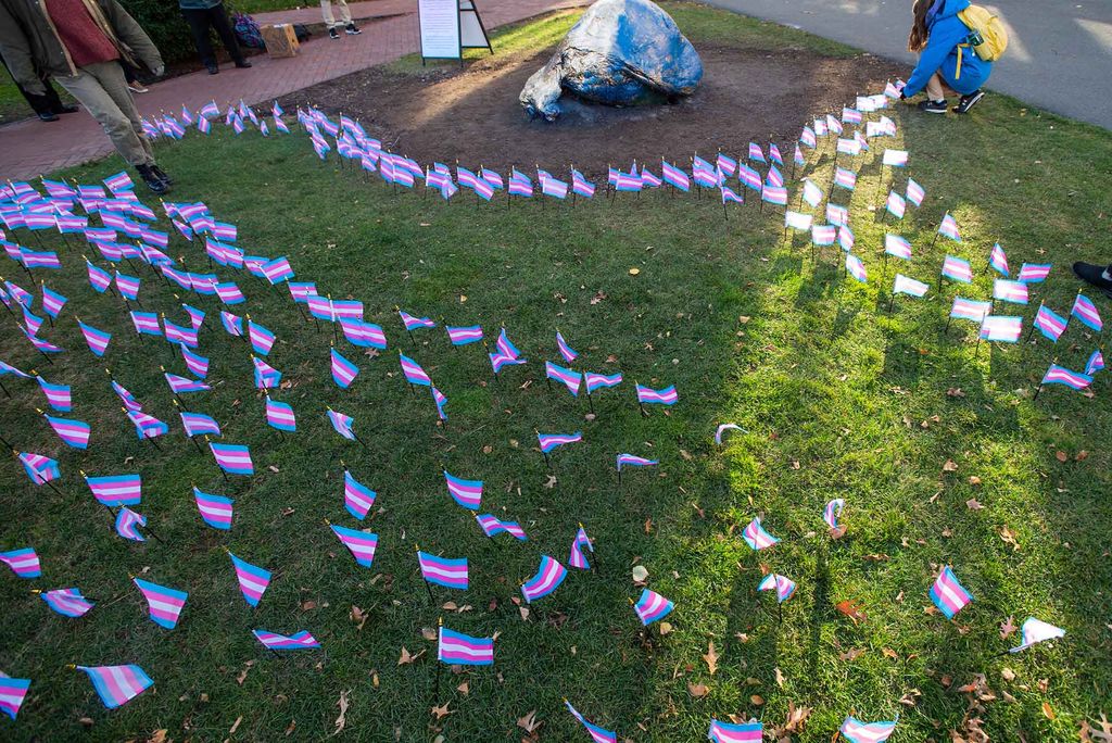 Photo: On a trimmed lawn lay multiple hand-held transgender pride flags, with the pastel colors of pink, blue, and white. There is a path where no flags are stuck in the ground in the foreground of the photo. Just beyond the path, a patch of dirt and a large rock lay. 
