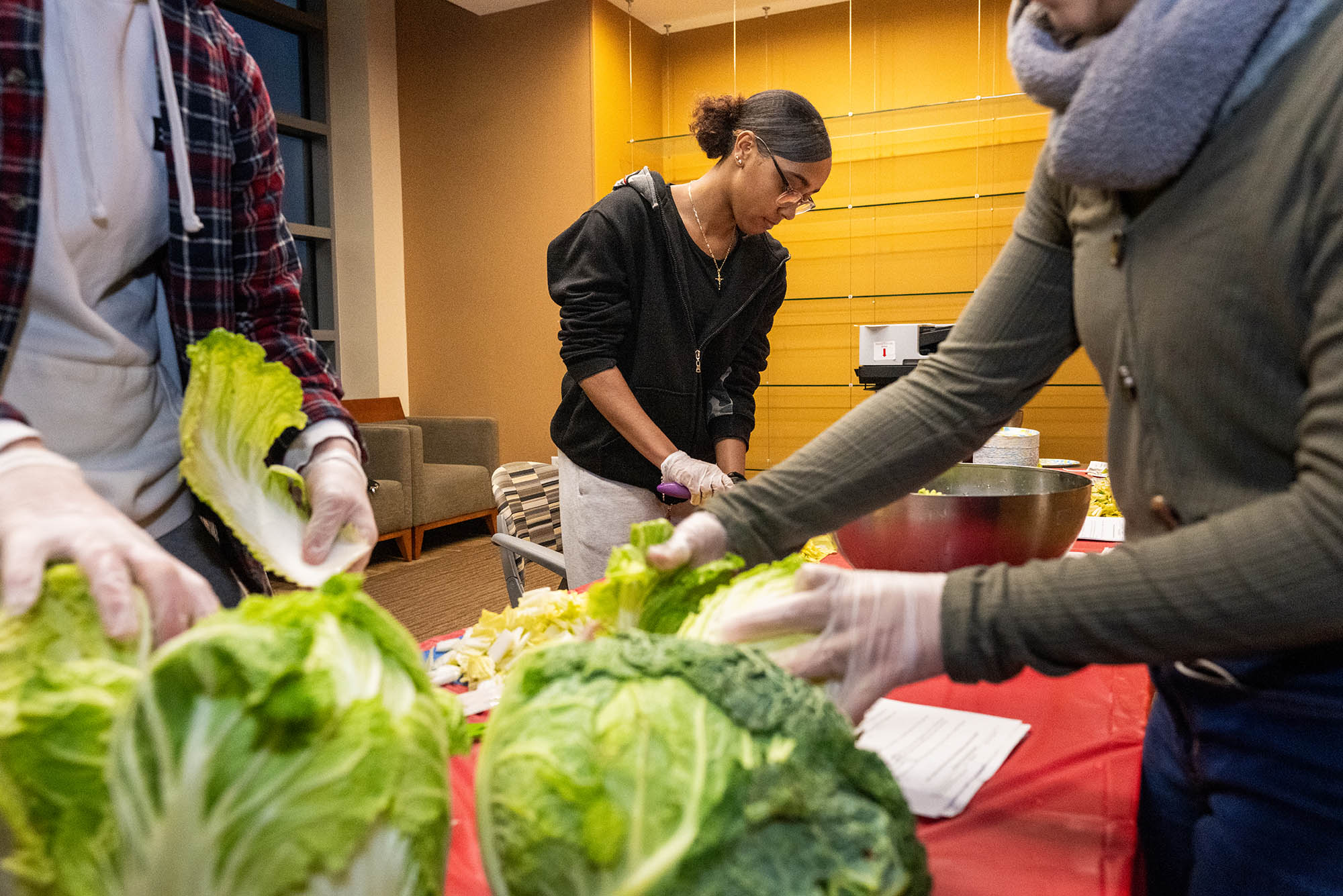 Photo: Individuals chopping up vegetables to prepare a cabbage salad.