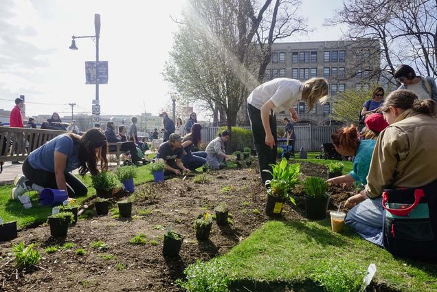 Photo: BU students and faculty preparing the CFA color garden on campus