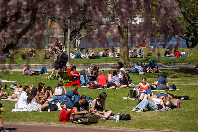 Photo: A sunny day at BU Beach at Boston University