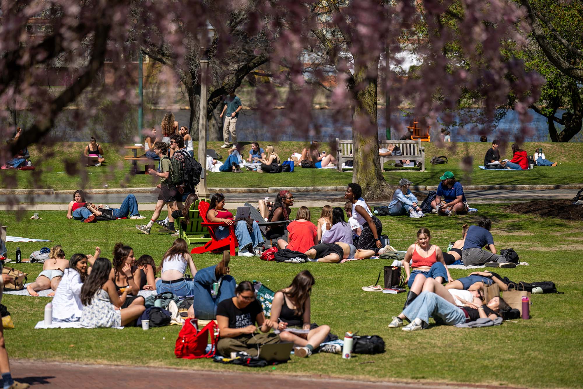 Photo: A sunny day at BU Beach at Boston University