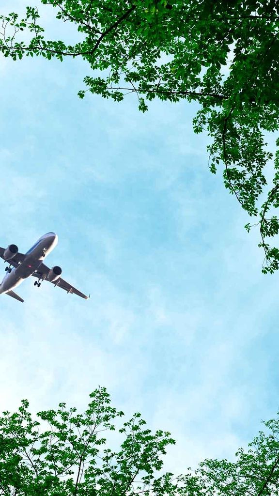 Photo: A plane flying over a forest