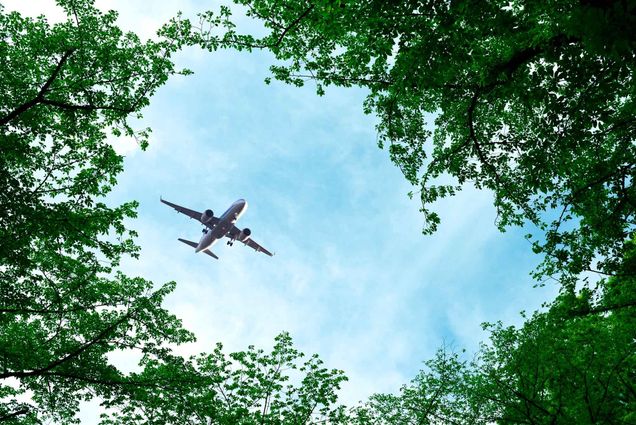 Photo: A plane flying over a forest