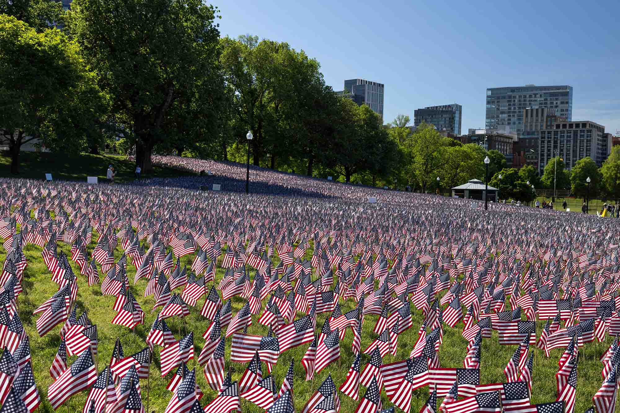 Photo: A field of American flags on the Boston Common