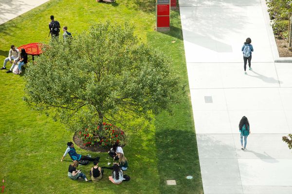 Photo: A patch of grass on BU's campus, photographed from above
