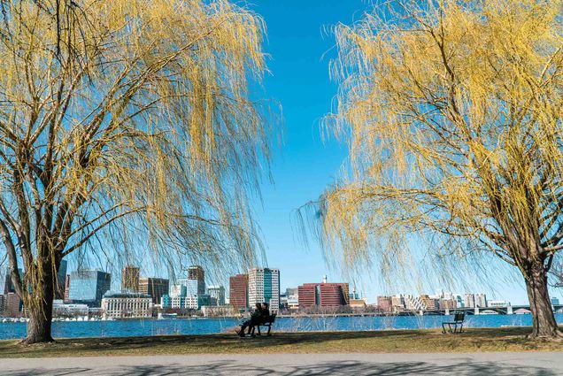 Photo: The Charles River Esplanade on a bright, sunny day
