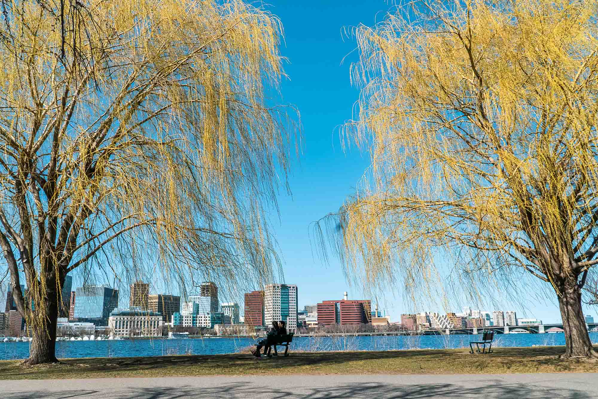 Photo: The Charles River Esplanade on a bright, sunny day