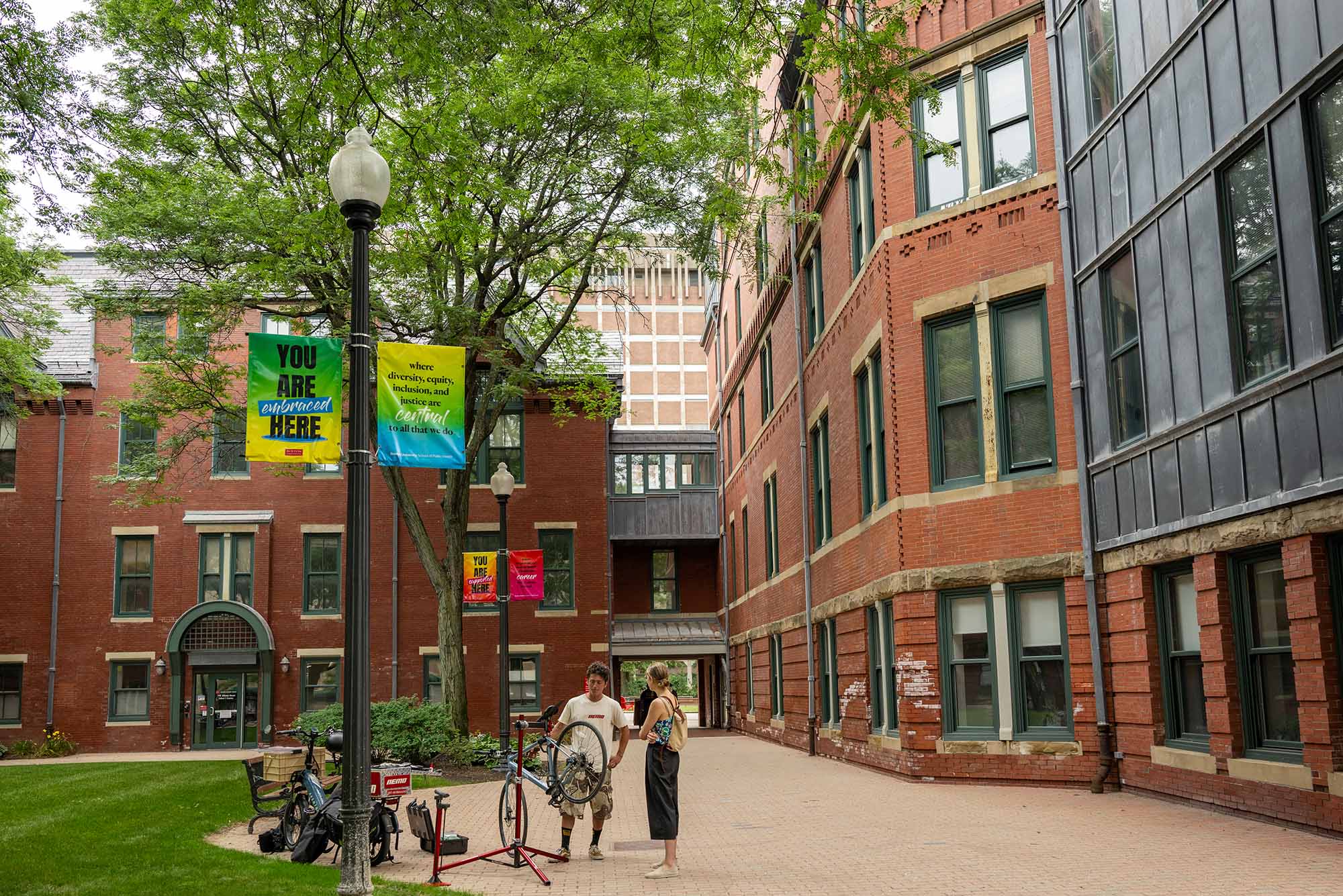 Photo: Foliage and building on BU's campus