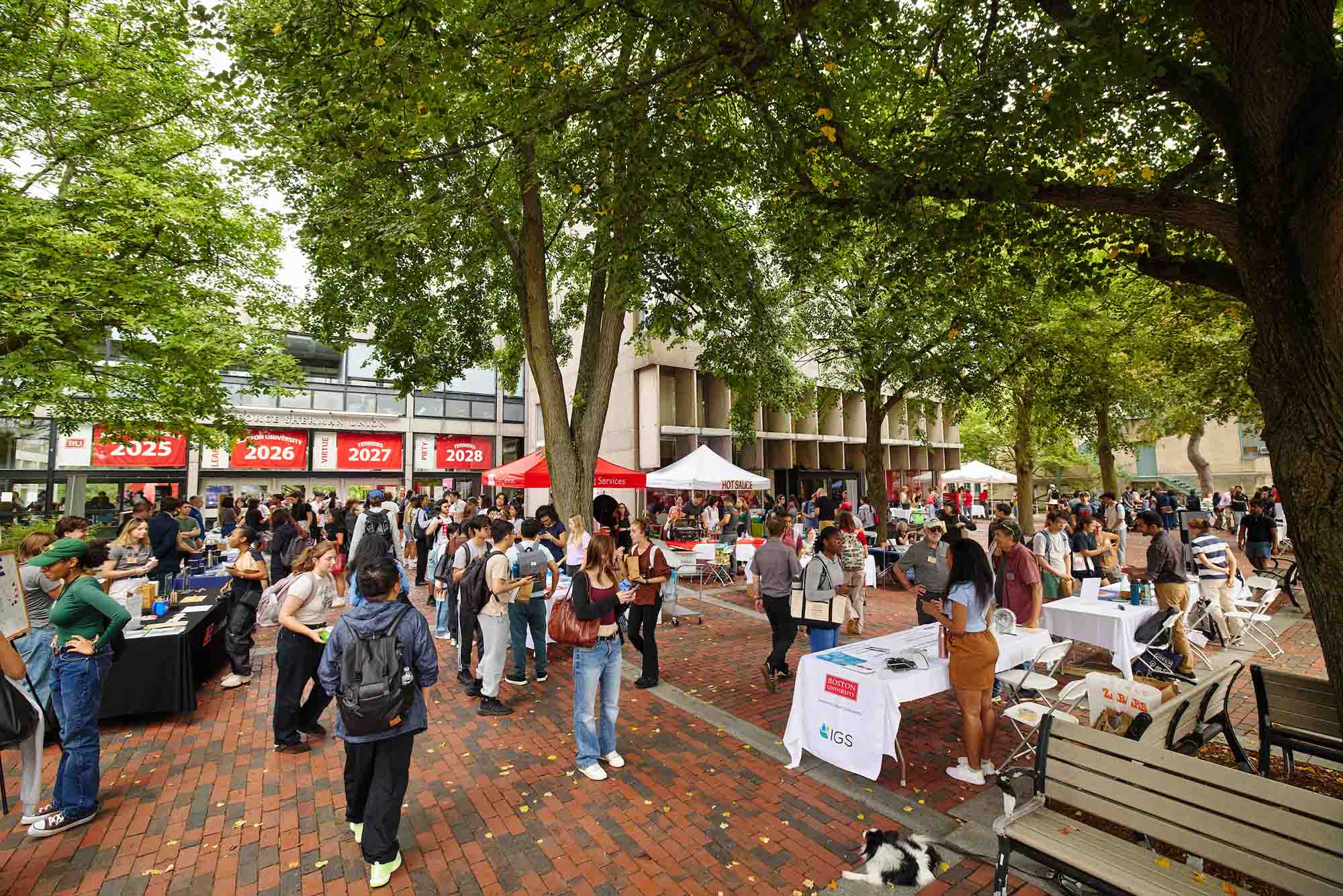 Photo: A large crowd of college students at the annual BU sustainability festival