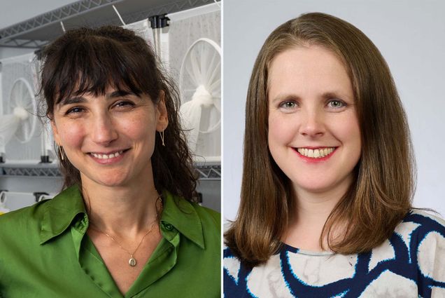 Photo: Two white woman in a college photo. On the left, a woman wearing a green shirt with long brown hair wearing a green blouse. On the right, a white woman with short brown hair in a portrait style shot.