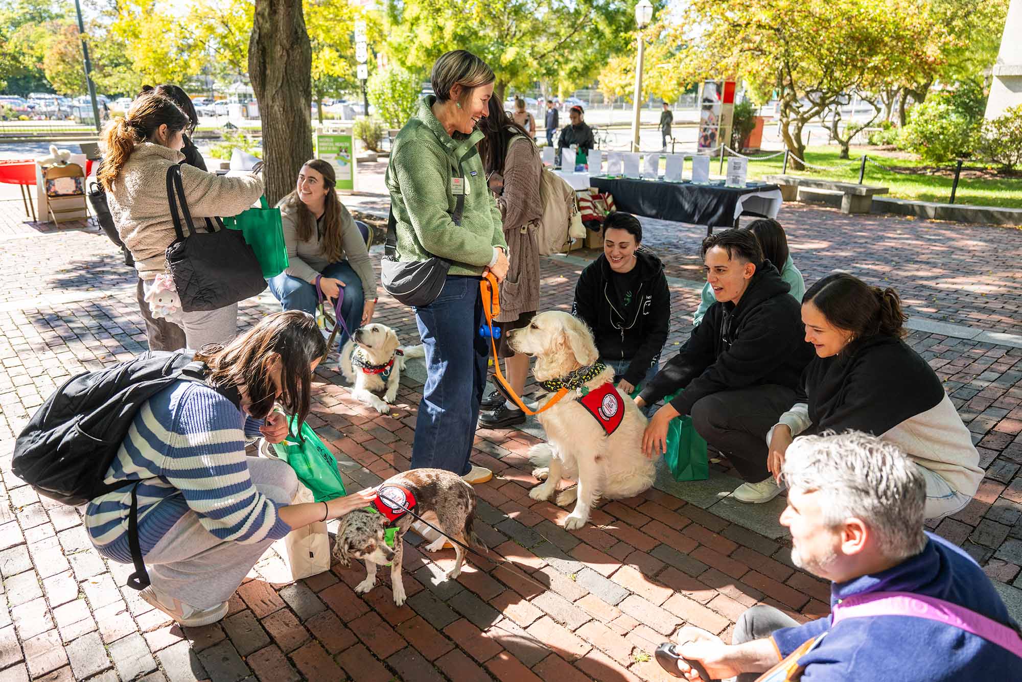 Photo: 10/9/25 -- Boston, MassachusettsDuring World Mental Health Day Resource Fair October 9 at the GSU Plaza, the therapy dogs Lottie, (top), Toshi (bottom left), and Charles were a big hit with visitors. This year's events included free and confidential mental health screenings for students, and had stations featuring representatives from various departments across campus and student organizations devoted to promoting mental health and well being. Photo by Cydney Scott for Boston University Photography