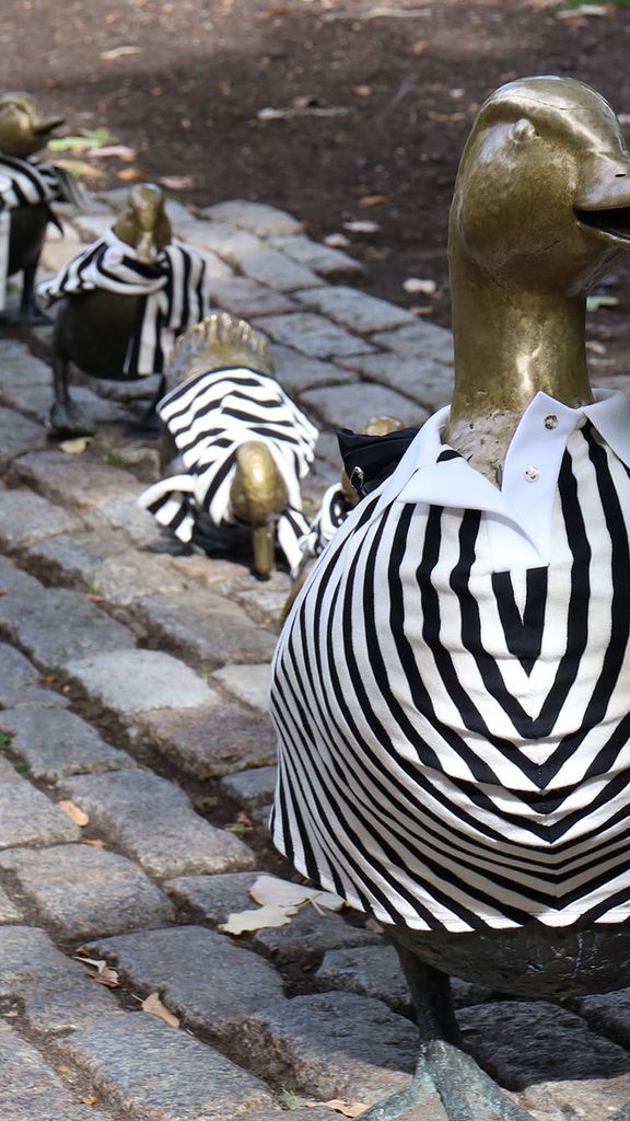 Photo: The "Make Way for Ducklings" sculpture in the Boston Common featuring the ducks wearing clothes