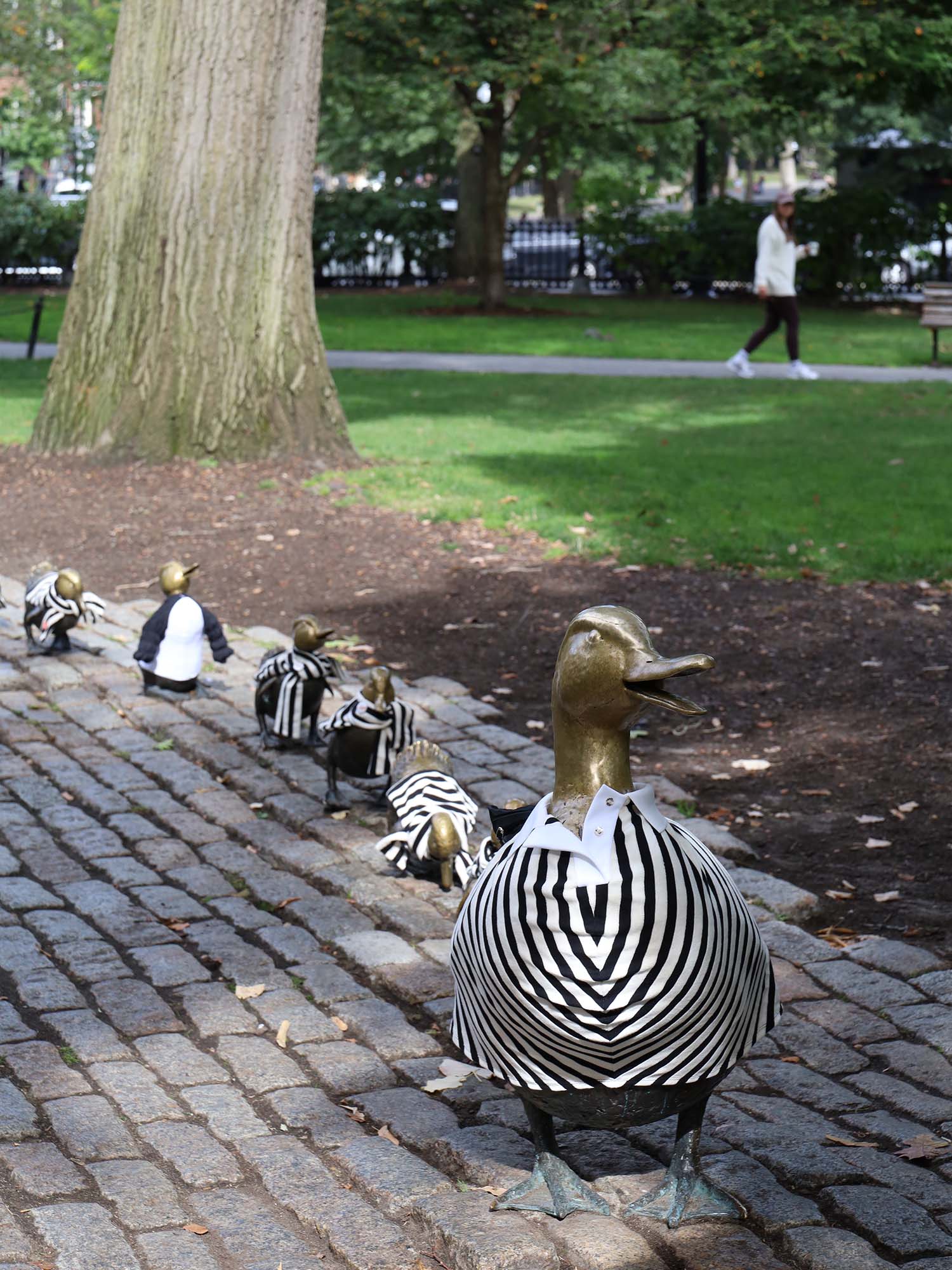 Photo: The "Make Way for Ducklings" sculpture in the Boston Common featuring the ducks wearing clothes